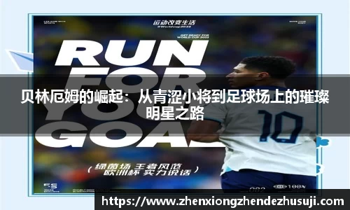 DB视讯平台DB视讯官方网站