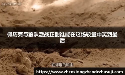 佩历克与狼队激战正酣谁能在这场较量中笑到最后